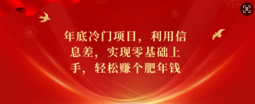 年底冷门项目，利用信息差，实现零基础上手，轻松赚个肥年钱【揭秘】-搞机圈