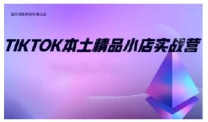 TikTok本土精品小店出海实战营,从入门到高阶,不止0-1!-搞机圈