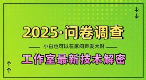 2025问卷调查最新工作室技术解密：一个人在家也可以闷声发大财，小白一天2张，可矩阵放大【揭秘】-搞机圈