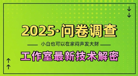 2025问卷调查最新工作室技术解密：一个人在家也可以闷声发大财，小白一天2张，可矩阵放大【揭秘】-搞机圈
