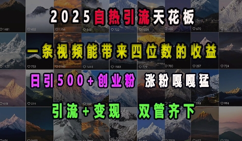 2025自热引流天花板,一条视频能带来四位数的收益,引流+变现双管齐下,日引500+创业粉,涨粉嘎嘎猛-搞机圈