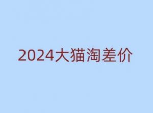 2024版大猫淘差价课程，新手也能学的无货源电商课程-搞机圈