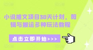 小说推文项目38天计划，剪辑与搬运多种玩法教程-搞机圈