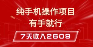 纯手机操作的小项目，有手就能做，7天收入2609+实操教程【揭秘】-搞机圈