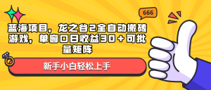 蓝海项目，龙之谷2全自动搬砖游戏，单窗口日收益30＋可批量矩阵-搞机圈