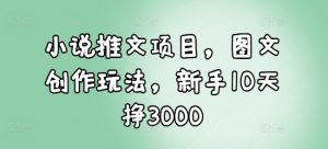 小说推文项目，图文创作玩法，新手10天挣3000-搞机圈