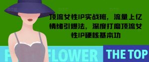 顶流女性IP实战班，流量上亿情绪引爆法，深度打磨顶流女性IP硬核基本功-搞机圈