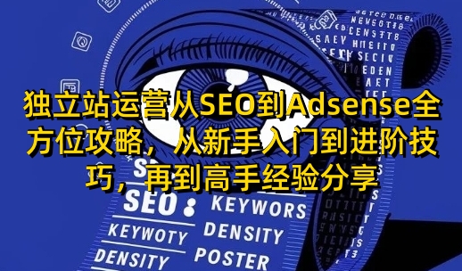 独立站运营从SEO到Adsense全方位攻略,从新手入门到进阶技巧,再到高手经验分享-搞机圈