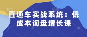 直通车实战系统：低成本询盘增长课，让个人通过技能实现升职加薪，让企业低成本获客，订单源源不断-搞机圈