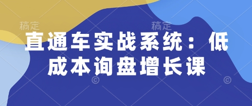 直通车实战系统：低成本询盘增长课，让个人通过技能实现升职加薪，让企业低成本获客，订单源源不断-搞机圈