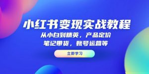 小红书变现实战教程：从小白到精英，产品定价，笔记带货，账号运营等-搞机圈