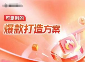 天猫电商爆款运营，可复制的爆款打造方案(线下内训课录音+字幕)-搞机圈