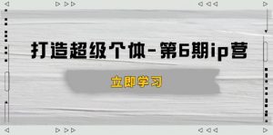 打造 超级个体-第6期ip营：商业认知,产品设计,成交演练,解决知识变现难题-搞机圈