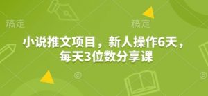 小说推文项目，新人操作6天，每天3位数分享课-搞机圈