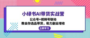 小绿书AI带货实战营：公众号+视频号联动，教会你选品带货，助力副业增收-搞机圈