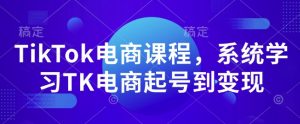 TikTok电商课程，​系统学习TK电商起号到变现-搞机圈