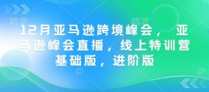 12月亚马逊跨境峰会， 亚马逊峰会直播，线上特训营基础版，进阶版-搞机圈