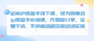 全案IP操盘手线下课，成为现象级ip操盘手必修课，无保留分享，全是干货，不讲废话超深度培训实操-搞机圈