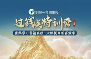 剽悍一只猫-过钱关特训营，学习营销真经 大幅度提高创富效率-搞机圈