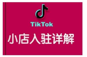 TikTok跨境小店运营全攻略，帮助你独立运营TK跨境小店的能力，实现销量增长-搞机圈