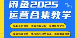 2025闲鱼电商运营全集,2025最新咸鱼玩法-搞机圈
