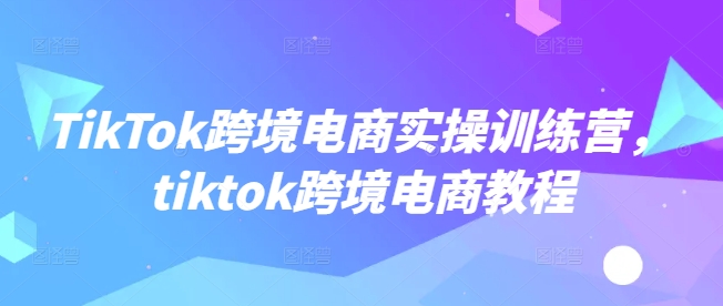 TikTok跨境电商实操训练营，tiktok跨境电商教程-搞机圈