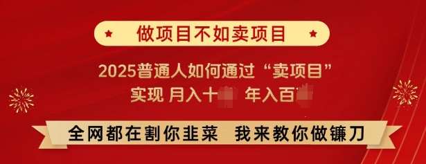 必看，做项目不如卖项目，2025普通人如何通过“卖项目”实现月入十个，年入百个-搞机圈