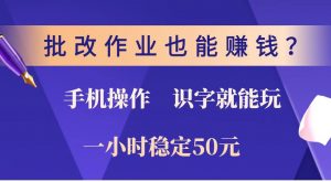批改作业也能赚钱？0门槛手机项目，识字就能玩！一小时稳定50元！-搞机圈