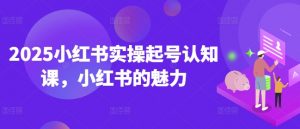 2025小红书实操起号认知课，小红书的魅力-搞机圈