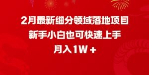 2月最新细分领域落地项目，新手小白也可快速上手，月入1W-搞机圈
