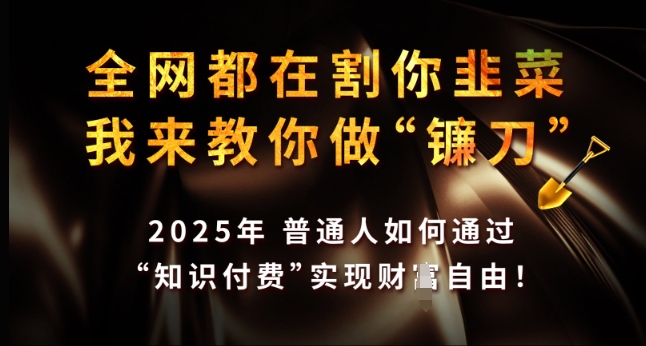 全网都在割你韭菜，我来教你做镰刀，2025年普通人如何通过 知识付费 实现财F自由【揭秘】-搞机圈