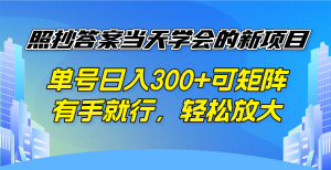 照抄答案当天学会的新项目，单号日入300 +可矩阵，有手就行，轻松放大-搞机圈