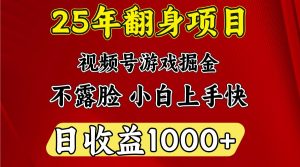 一天收益1000+ 25年开年落地好项目-搞机圈