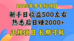 2025开年好项目，单号日收益2000左右-搞机圈