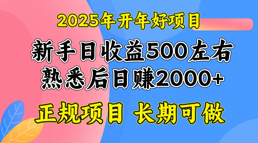 2025开年好项目，单号日收益2000左右-搞机圈