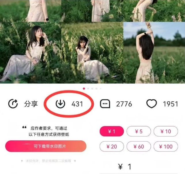 最新图虫搬运项目，收益无上限，利用AI小白也可日赚500+-搞机圈