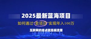 2025最新蓝海项目，零门槛轻松复制，月入10万+，新手也能操作！-搞机圈