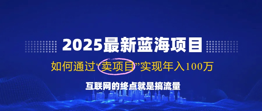 2025最新蓝海项目，零门槛轻松复制，月入10万+，新手也能操作！-搞机圈