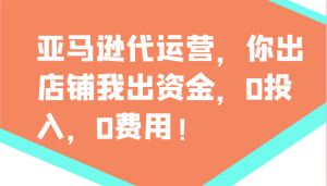 亚马逊代运营，你出店铺我出资金，0投入，0费用，无责任每天300分红，赢亏我承担-搞机圈