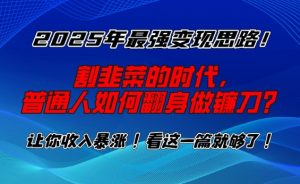 2025年最强变现思路，割韭菜的时代， 普通人如何翻身做镰刀？【揭秘】-搞机圈