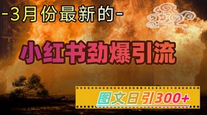 小红书超劲爆引流手段，图文日引300+轻松变现1W-搞机圈