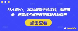 月入过W+，2025最新平台红利，无需本金、无需技术绑定账号就能自动收米-搞机圈