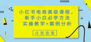 小红书电商高级课程，新手小白必学方法，实操教学+案例分析-搞机圈