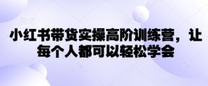 小红书带货实操高阶训练营，让每个人都可以轻松学会-搞机圈