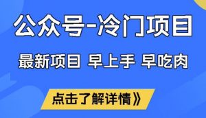 公众号冷门赛道,早上手早吃肉,单月轻松稳定变现1W【揭秘】-搞机圈