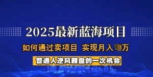 2025蓝海项目，普通人如何通过卖项目，实现月入过W，全过程【揭秘】-搞机圈