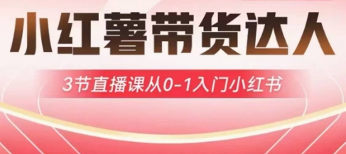 小红薯达人带货启航计划，3节直播课从0-1入门小红书-搞机圈