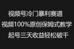 视频号冷门暴利赛道视频100%原创保姆式教学起号三天收益轻松破千-搞机圈