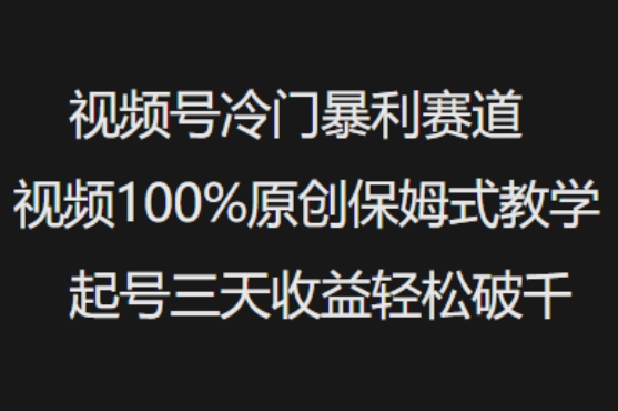 视频号冷门暴利赛道视频100%原创保姆式教学起号三天收益轻松破千-搞机圈