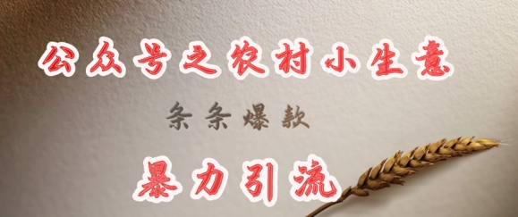 deepseek写农村小项目，条条爆款，暴力引流-搞机圈